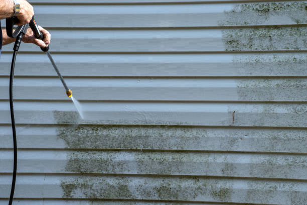 Best Yard Waste Removal  in Olyphant, PA