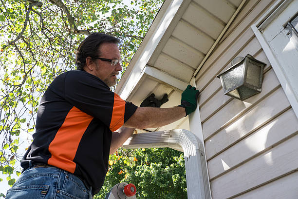 Best Hoarding Cleanup  in Olyphant, PA